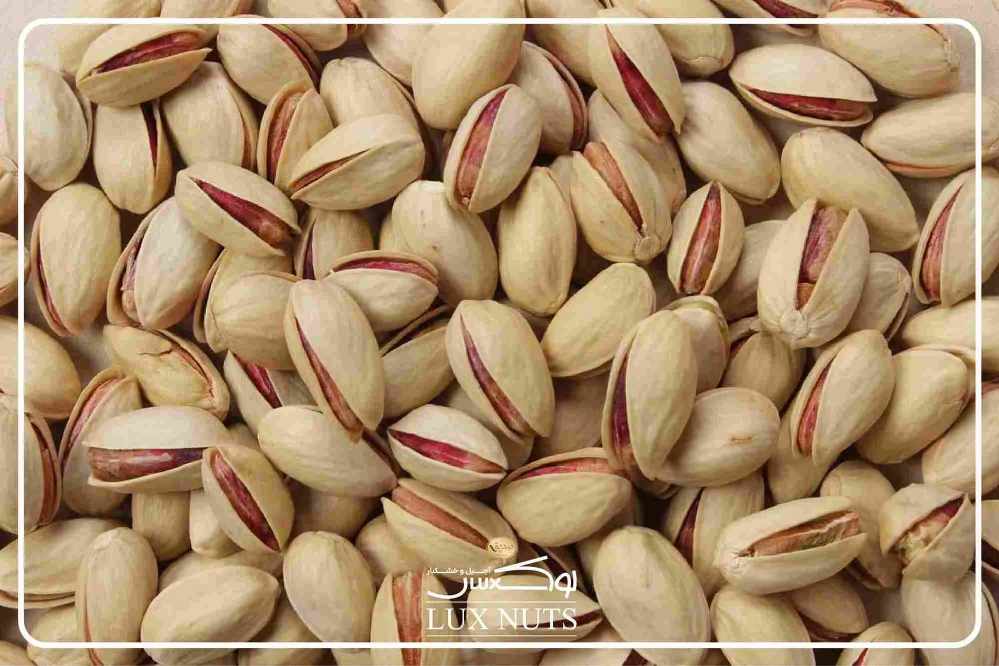 ویژگی های ظاهری پسته احمد آقایی 