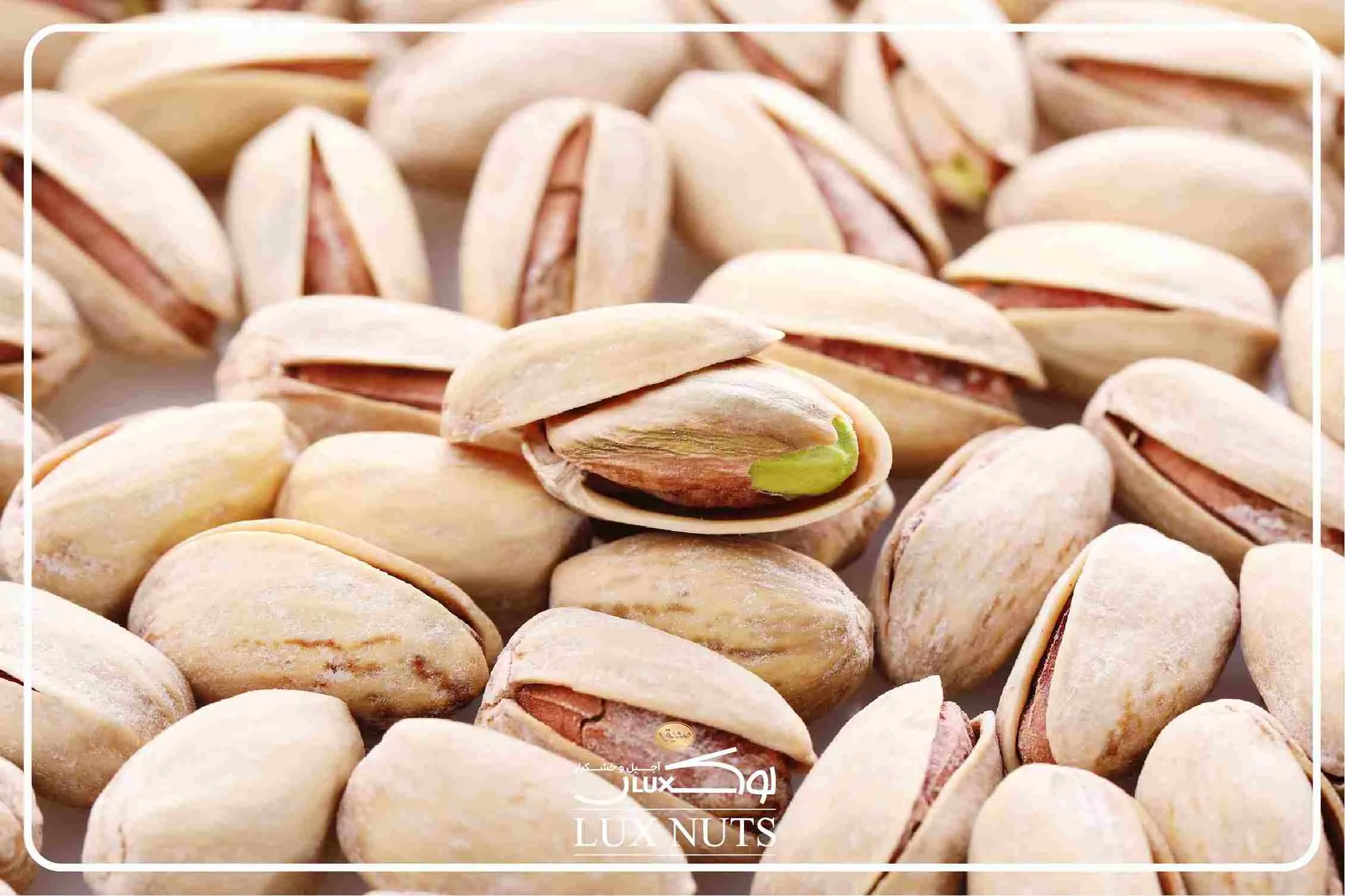 ویژگی های ظاهری پسته اکبری 