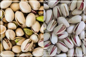 تفاوت پسته اکبری و احمدآقایی